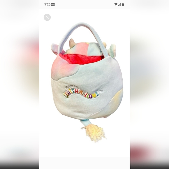 Squishmallow Caedia Valentine's Day Treat Pail /Purse - Picture 5 of 5